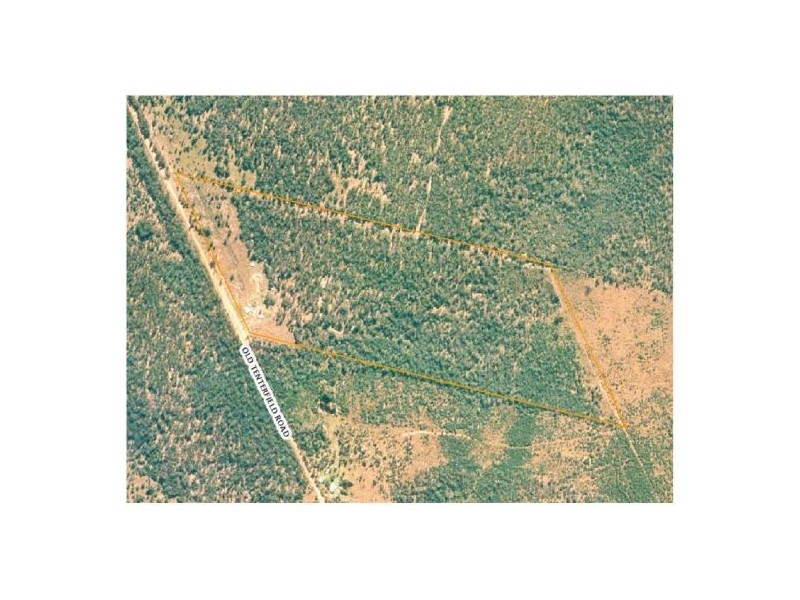 1336 Old Tenterfield Road, Rappville NSW 2469