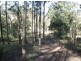 Lot 5 / 1252 Tabulam Road, Tabulam NSW 2469