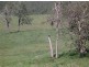 Lot 6 / 1252 Tabulam Road, Tabulam NSW 2469