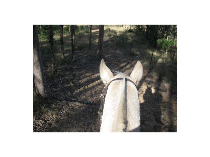 Lot 6 / 1252 Tabulam Road, Tabulam NSW 2469