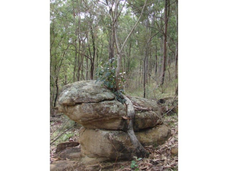Lot 8 / 1252 Tabulam road, Tabulam NSW 2469