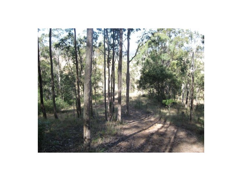 Lot 8 / 1252 Tabulam road, Tabulam NSW 2469