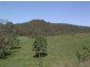 Lot 8 / 1252 Tabulam road, Tabulam NSW 2469