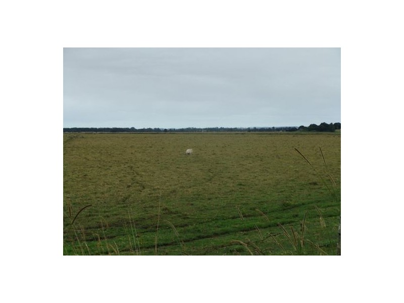 Lot 3 Baraimal Lane, Kyogle NSW 2474