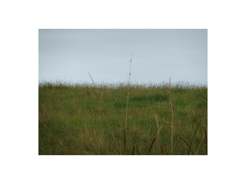 Lot 3 Baraimal Lane, Kyogle NSW 2474