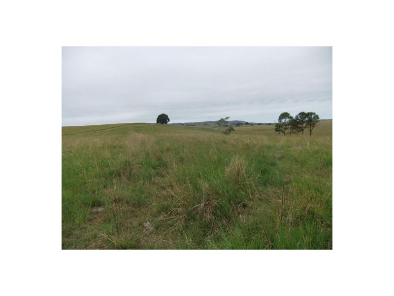 Lot 3 Baraimal Lane, Kyogle NSW 2474