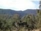 Tenterfield NSW 2372
