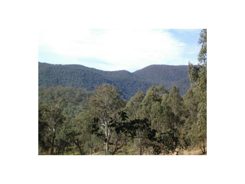 Tenterfield NSW 2372