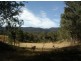 Tenterfield NSW 2372