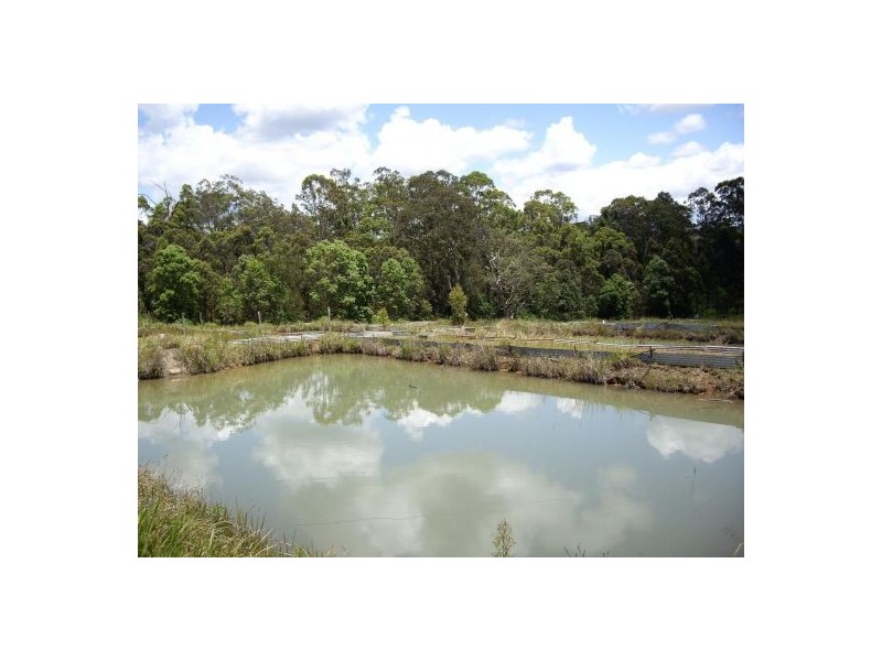 Lot 393 Iron Pot Creek Road, Kyogle NSW 2474