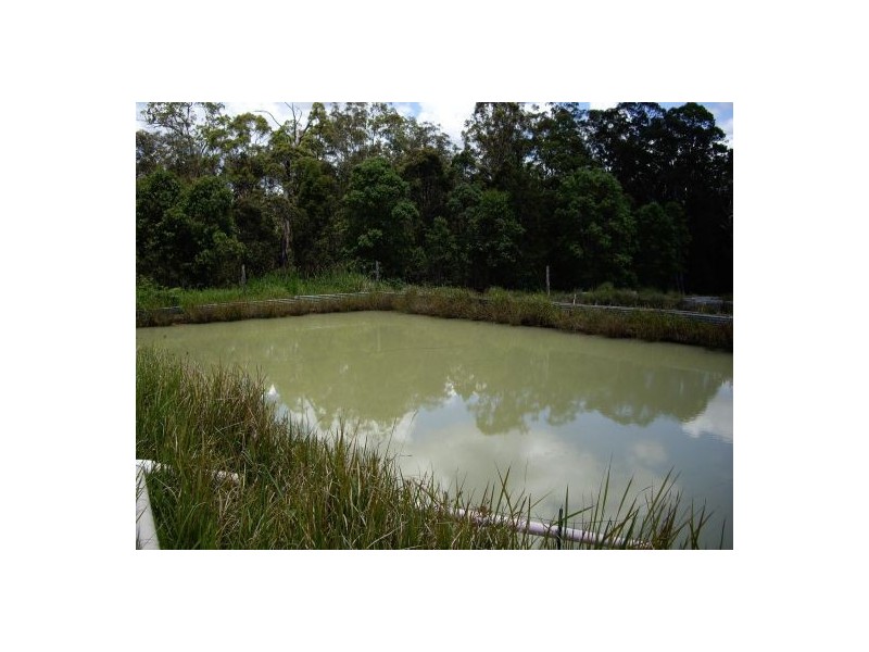 Lot 393 Iron Pot Creek Road, Kyogle NSW 2474