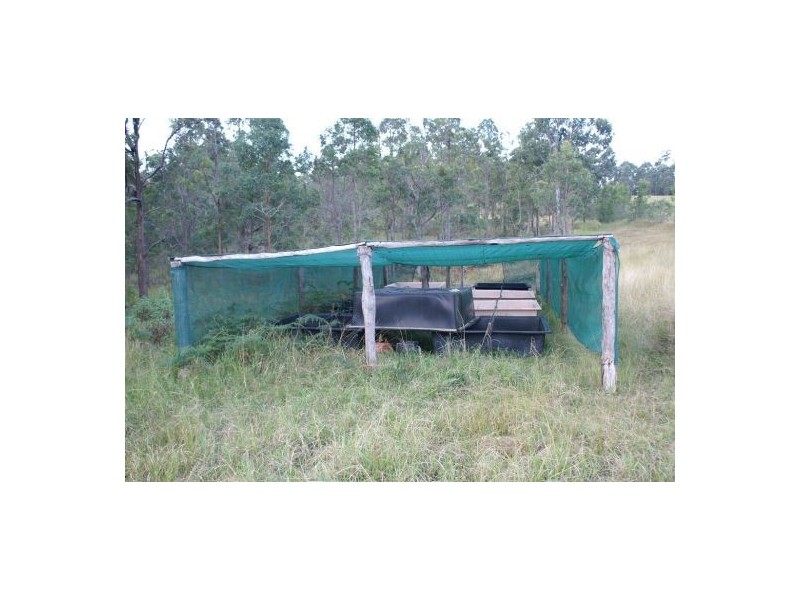 Lot 393 Iron Pot Creek Road, Kyogle NSW 2474