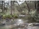 Tenterfield NSW 2372