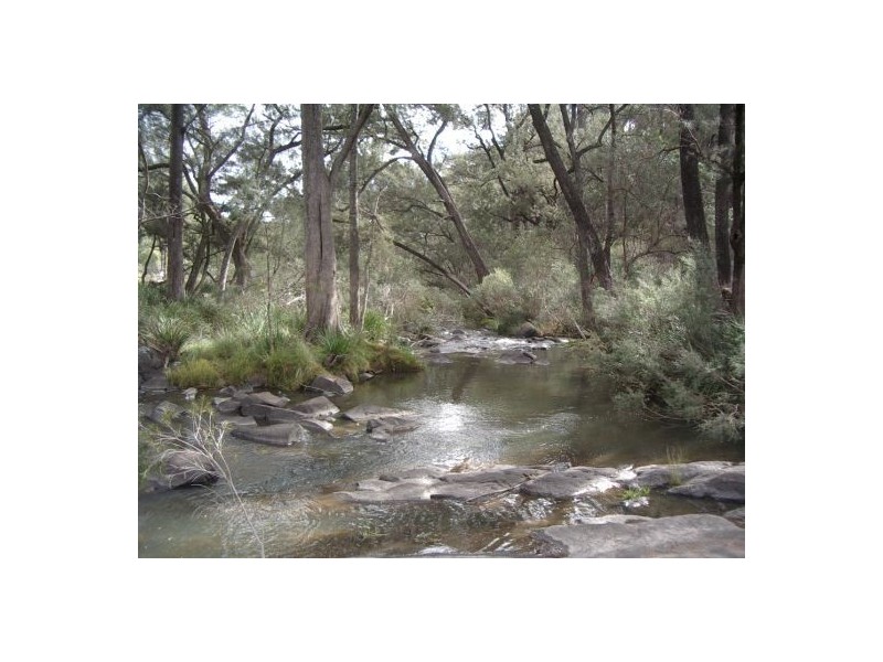 Tenterfield NSW 2372