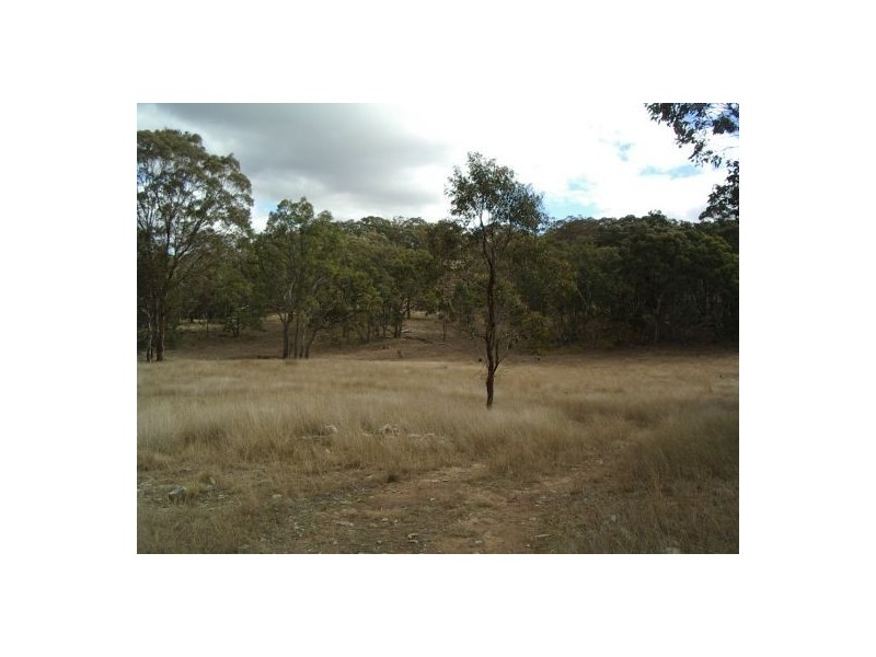 Tenterfield NSW 2372