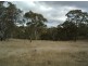 Tenterfield NSW 2372