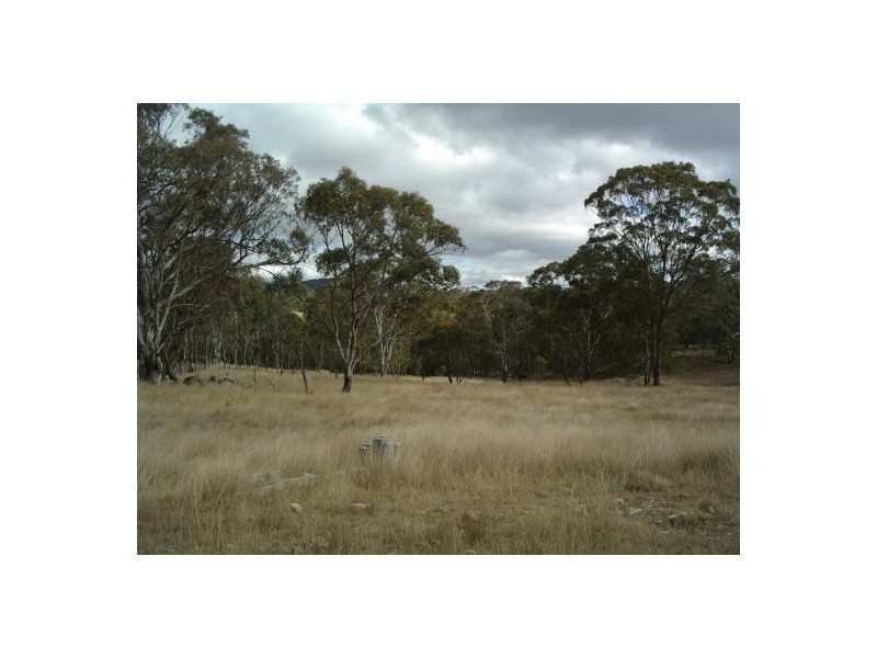 Tenterfield NSW 2372
