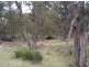 Tenterfield NSW 2372