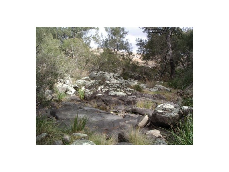 Tenterfield NSW 2372