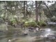 Tenterfield NSW 2372