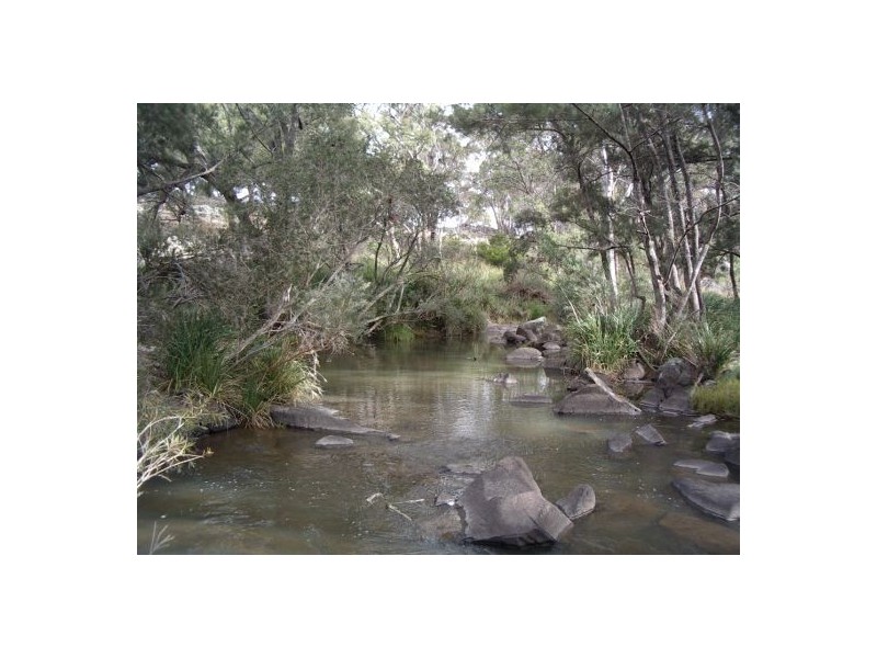 Tenterfield NSW 2372