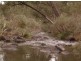 Tenterfield NSW 2372
