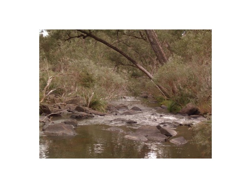 Tenterfield NSW 2372