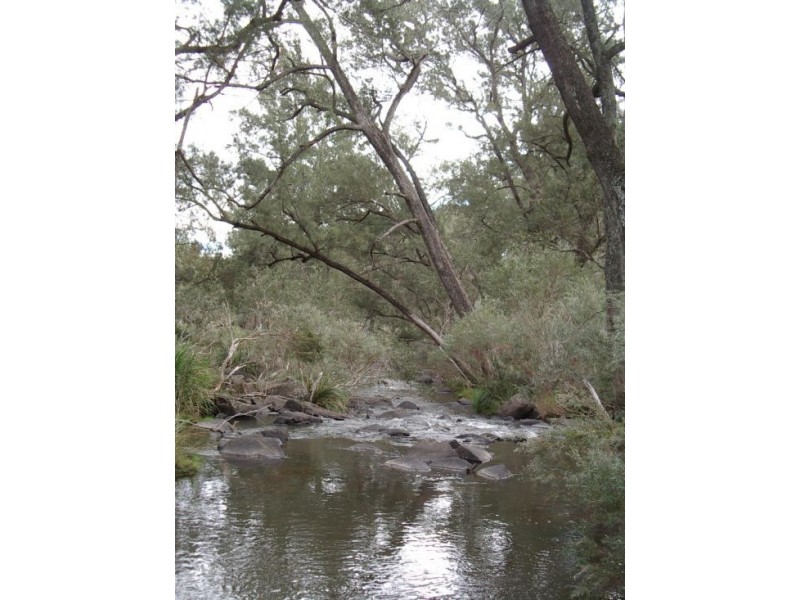 Tenterfield NSW 2372