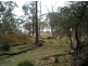 Tenterfield NSW 2372