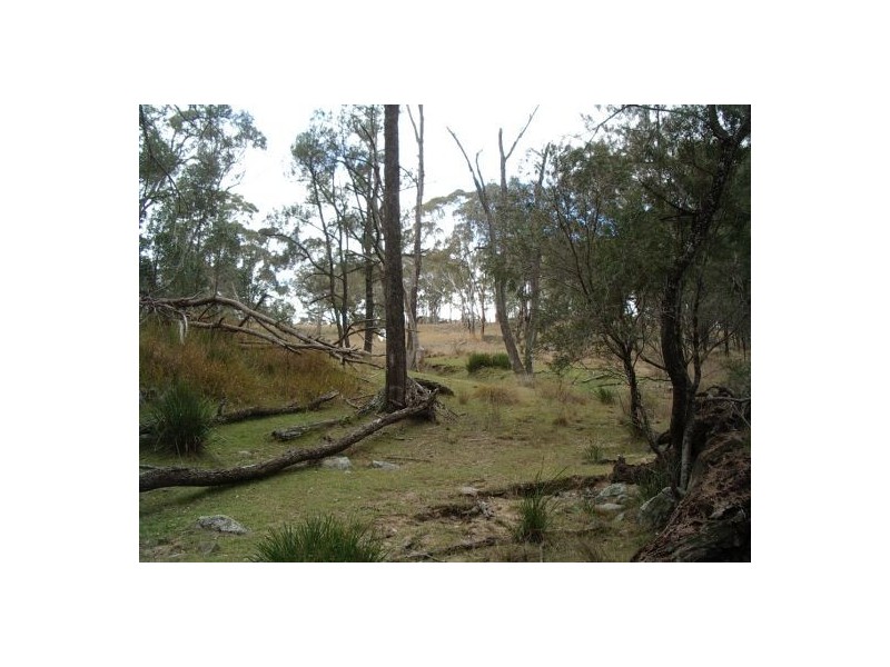 Tenterfield NSW 2372