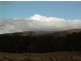 Tenterfield NSW 2372