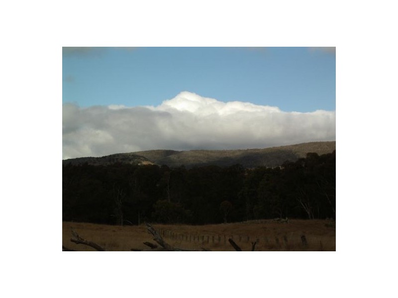 Tenterfield NSW 2372