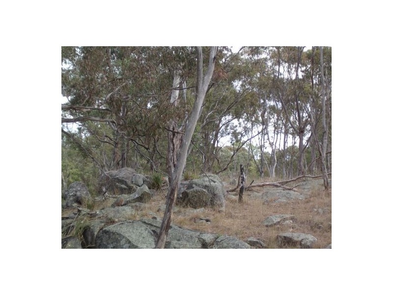 Tenterfield NSW 2372