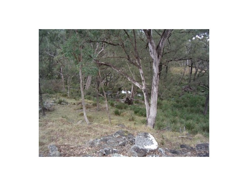 Tenterfield NSW 2372