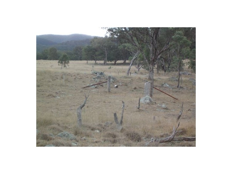 Tenterfield NSW 2372