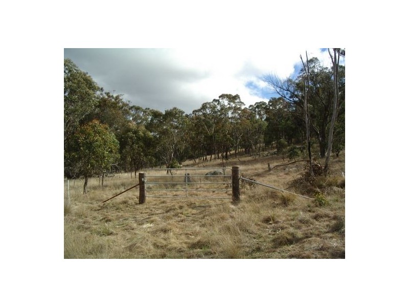 Tenterfield NSW 2372