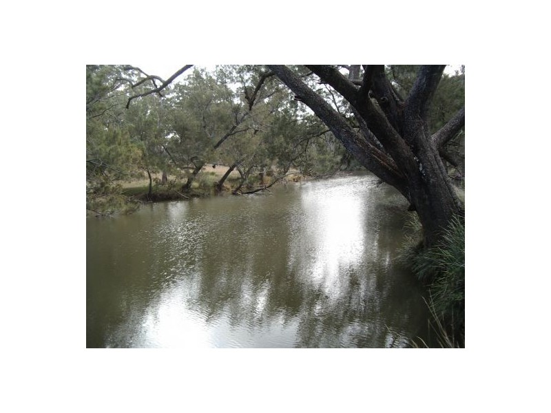 Tenterfield NSW 2372