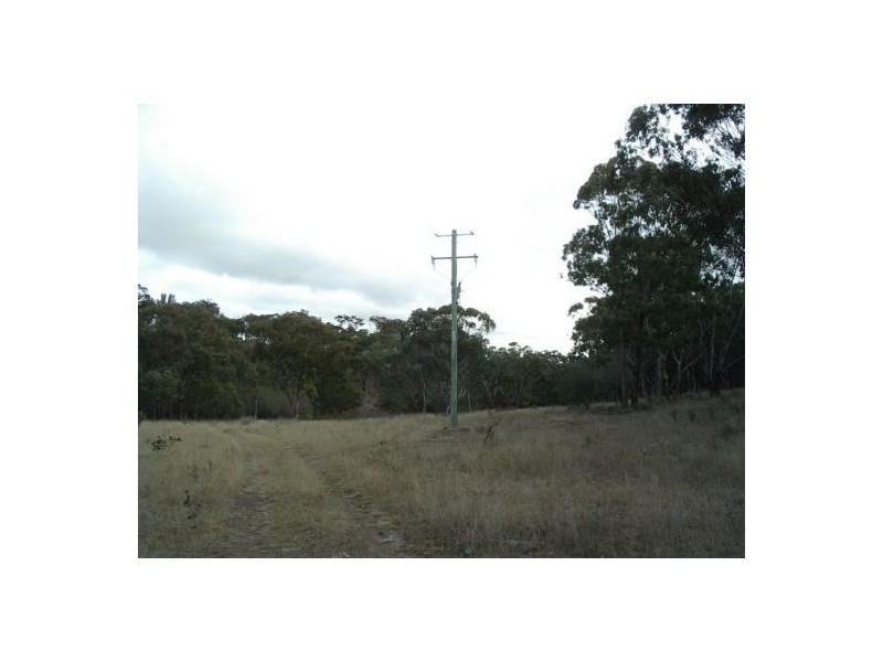 Tenterfield NSW 2372