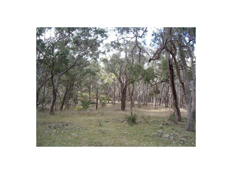 Tenterfield NSW 2372