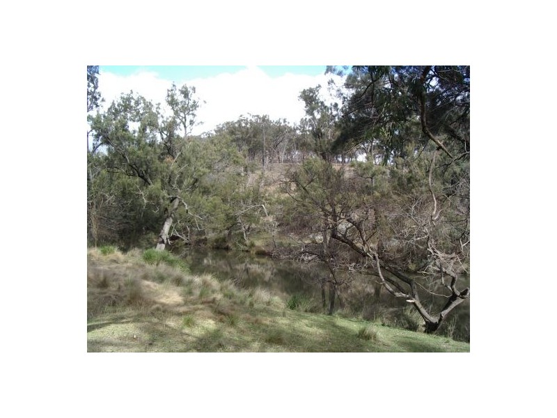 Tenterfield NSW 2372