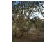 Lot 126 Bruxner Highway, Tenterfield NSW 2372
