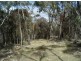 Lot 126 Bruxner Highway, Tenterfield NSW 2372