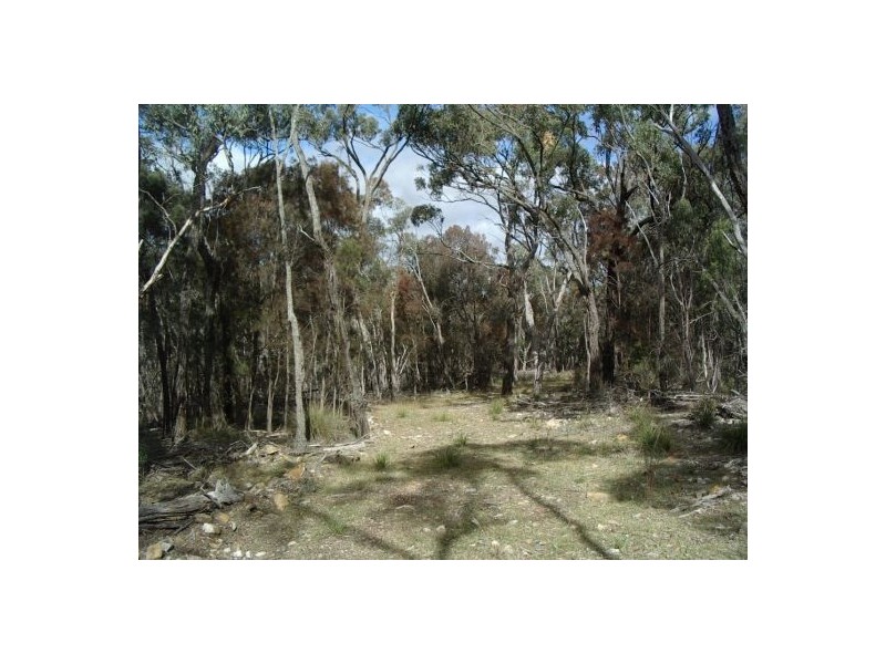 Lot 126 Bruxner Highway, Tenterfield NSW 2372