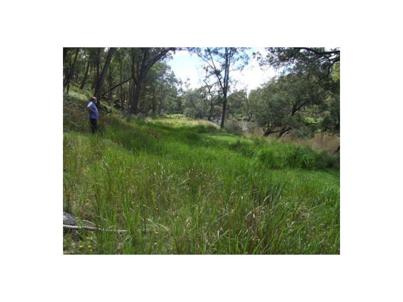 Lot 126 Bruxner Highway, Tenterfield NSW 2372