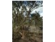 Lot 126 Bruxner Highway, Tenterfield NSW 2372