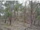 Lot 126 Bruxner Highway, Tenterfield NSW 2372