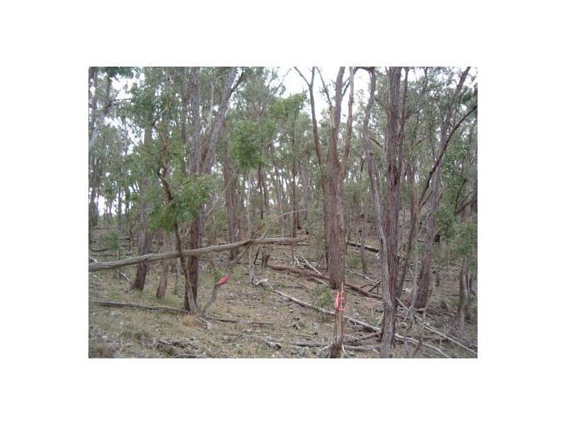 Lot 126 Bruxner Highway, Tenterfield NSW 2372
