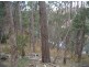 Lot 126 Bruxner Highway, Tenterfield NSW 2372