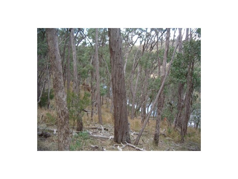 Lot 126 Bruxner Highway, Tenterfield NSW 2372