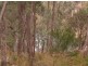 Lot 126 Bruxner Highway, Tenterfield NSW 2372